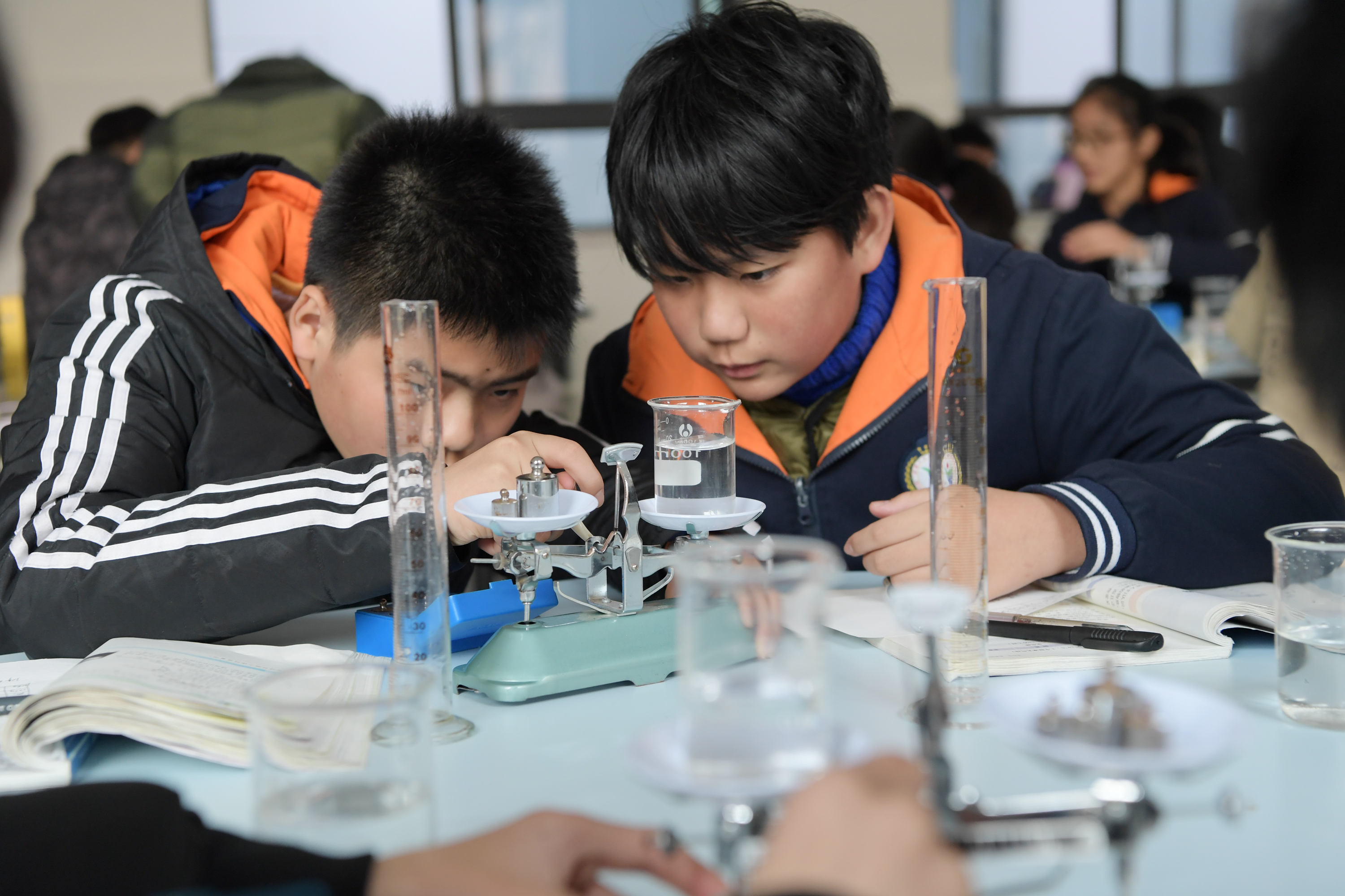 合肥市一六八中学玫瑰园,合肥一六八玫瑰园学校南校区