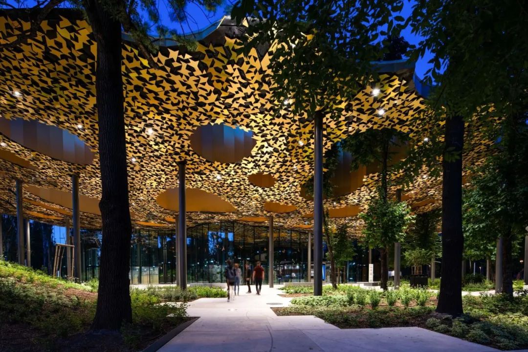 与藤本壮介一起走进金色叶子‘殿堂’，匈牙利音乐之家