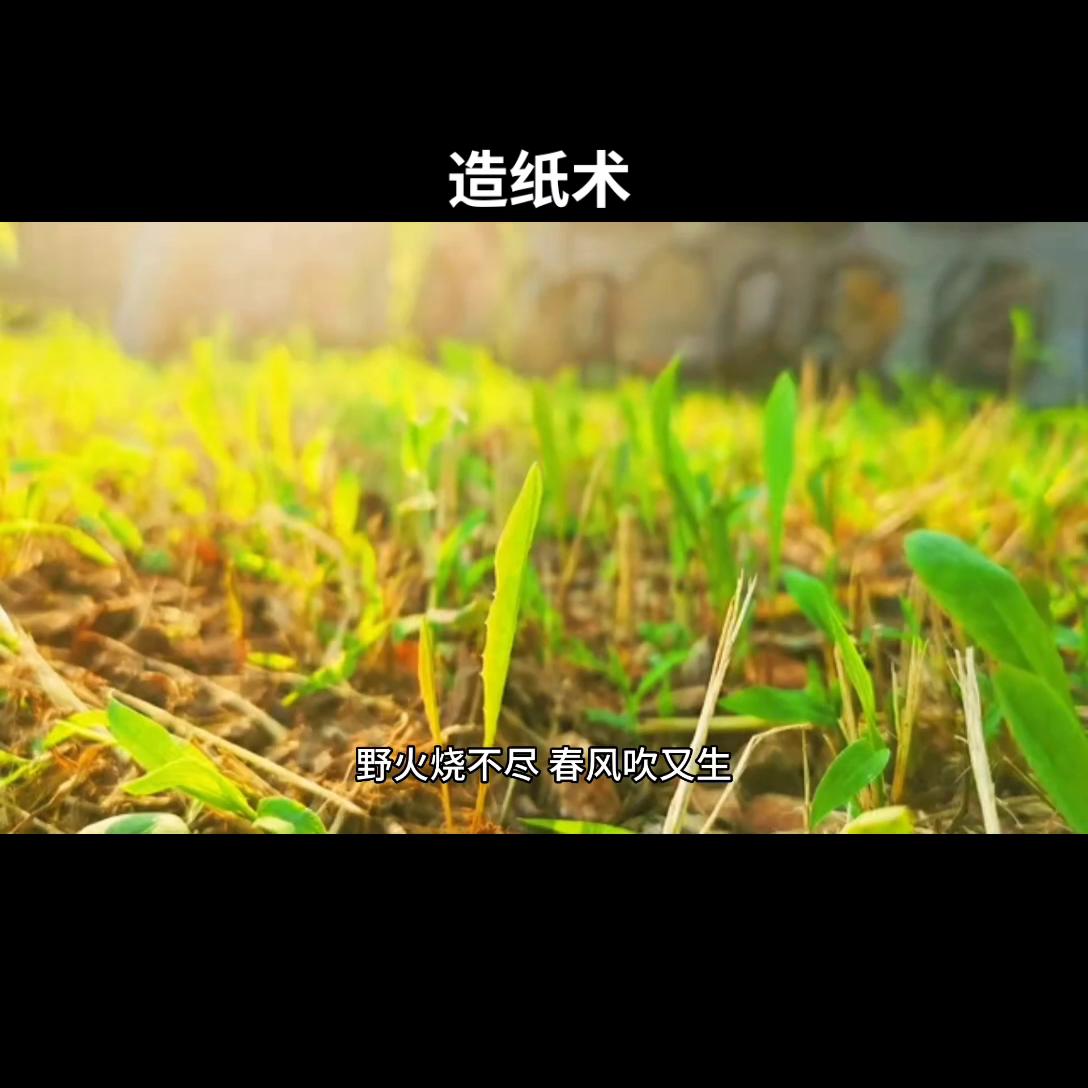 四大发明之造纸术3年级100字,造纸术四大发明动画视频