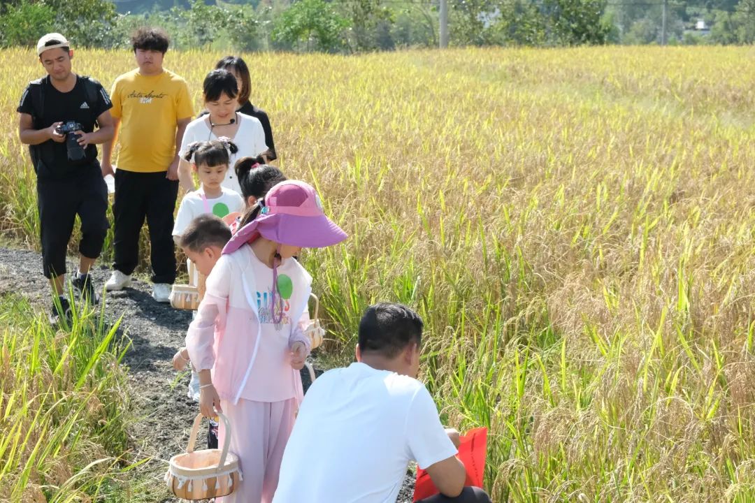宏村小众景区,宏村山野小院