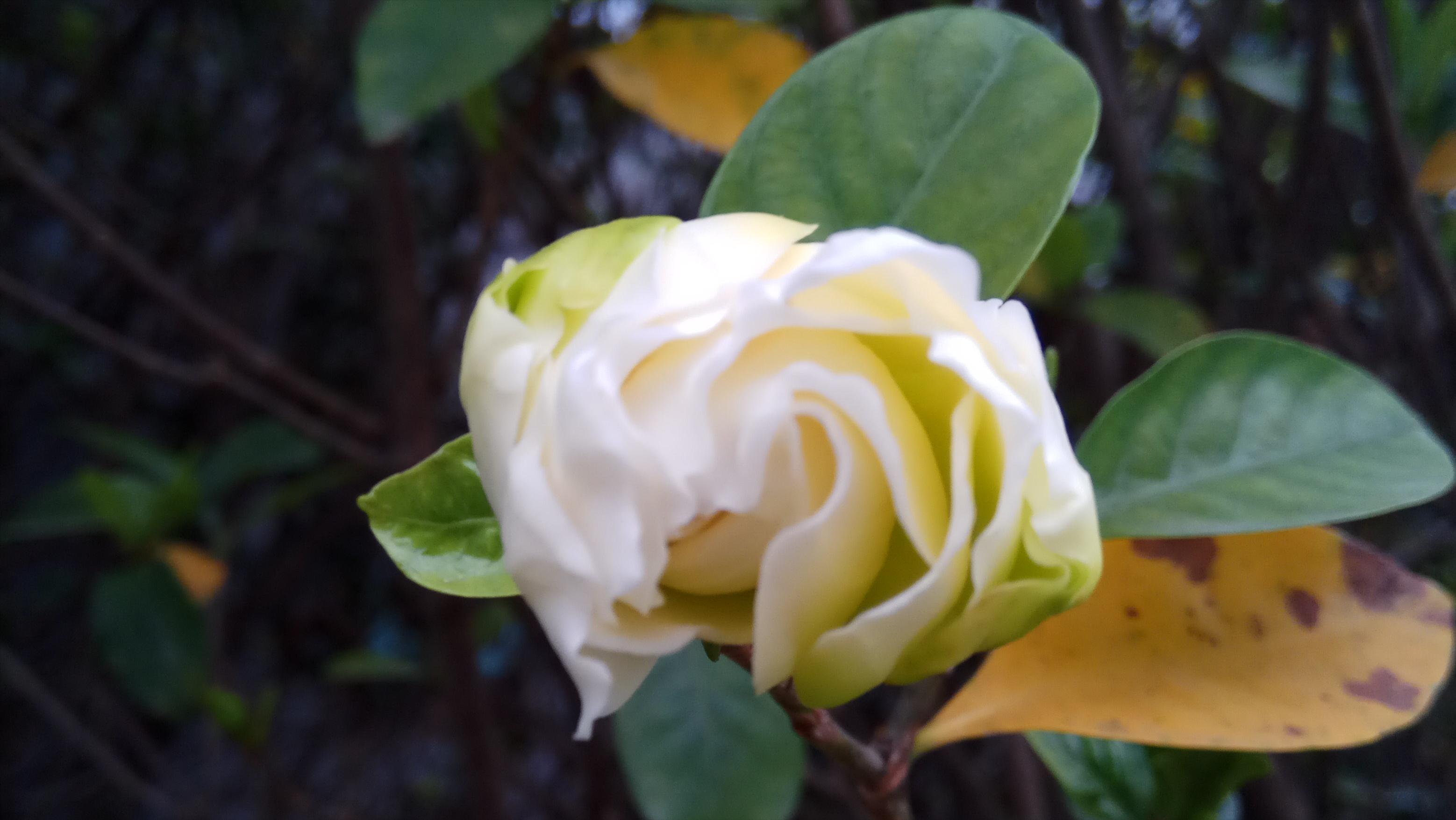 成功特质顶尖人士的51种品质,真正成功的人都有一个共同特质