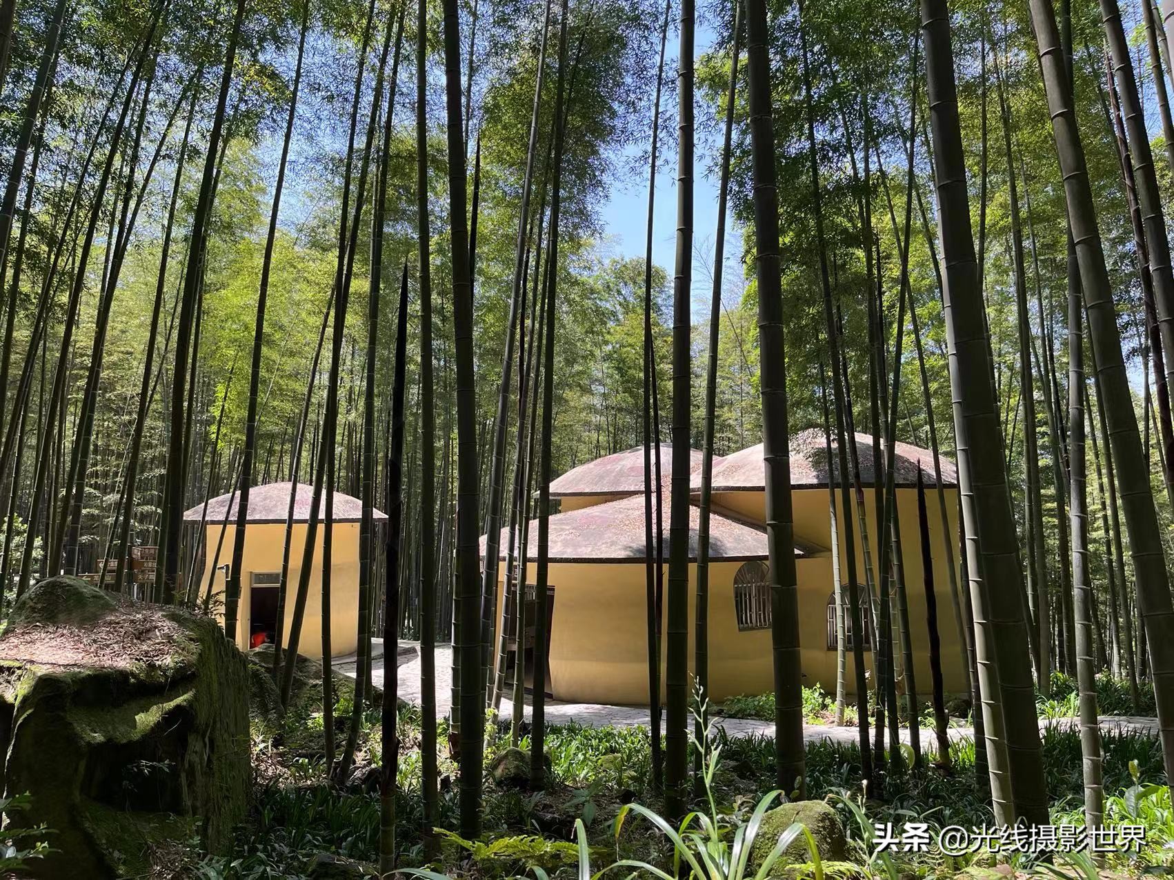 永川茶山竹海风景区门票优惠政策,永川茶山竹海2021年旅游日免费吗