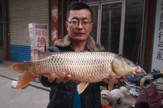 如何花最少的钱买到最便宜的东西,如何花最少的钱买最高配置