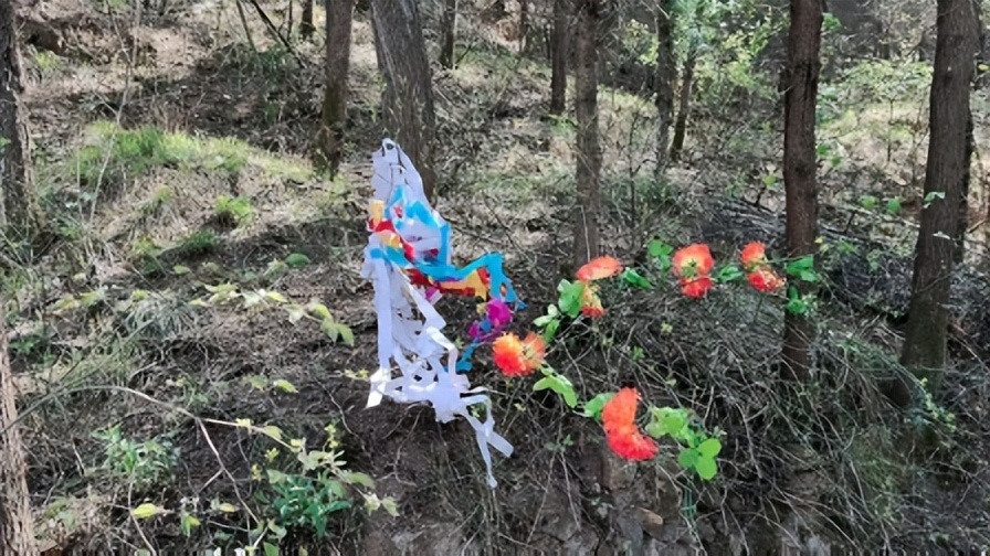 上坟祭祖的日子有哪些,上坟祭祖选什么日子和时辰