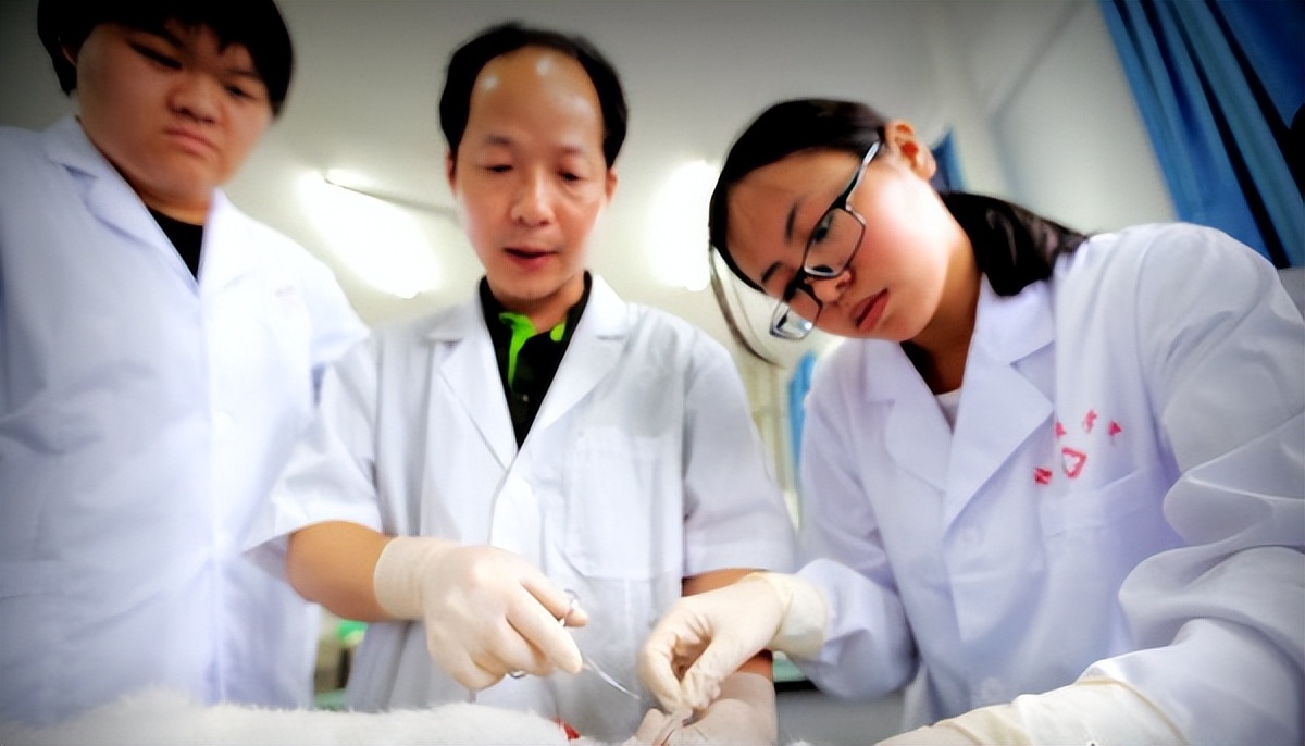 医学影像专业怎么样,医学影像专业解读