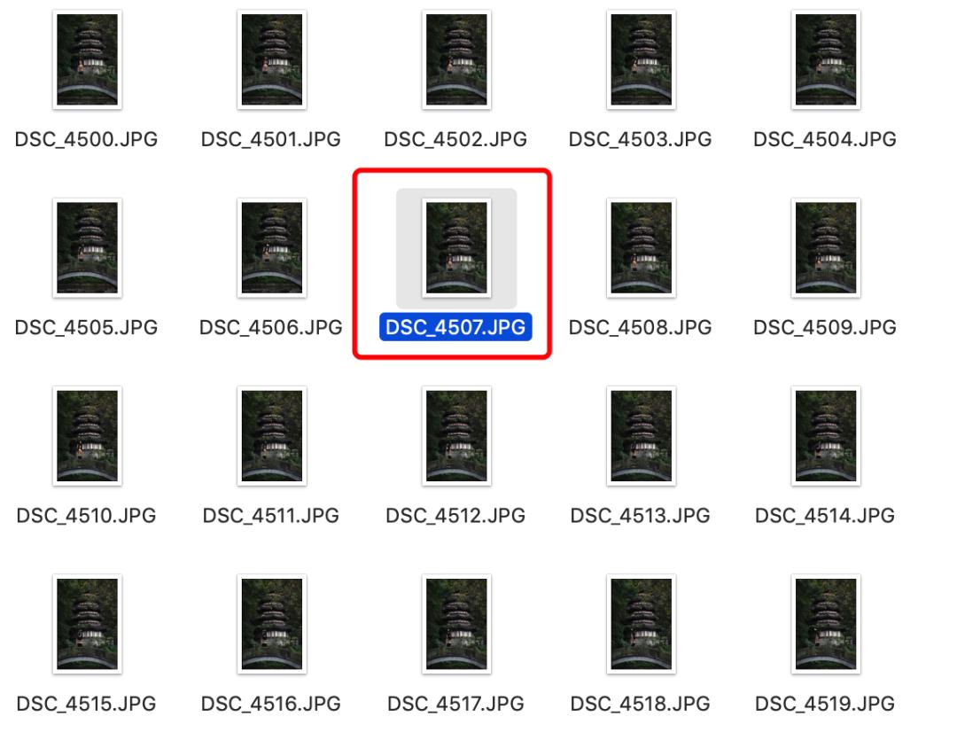 尼康z7ii搭配z24-70f2.8可以拍什么,尼康z14-24mmf2.8s夜景视频