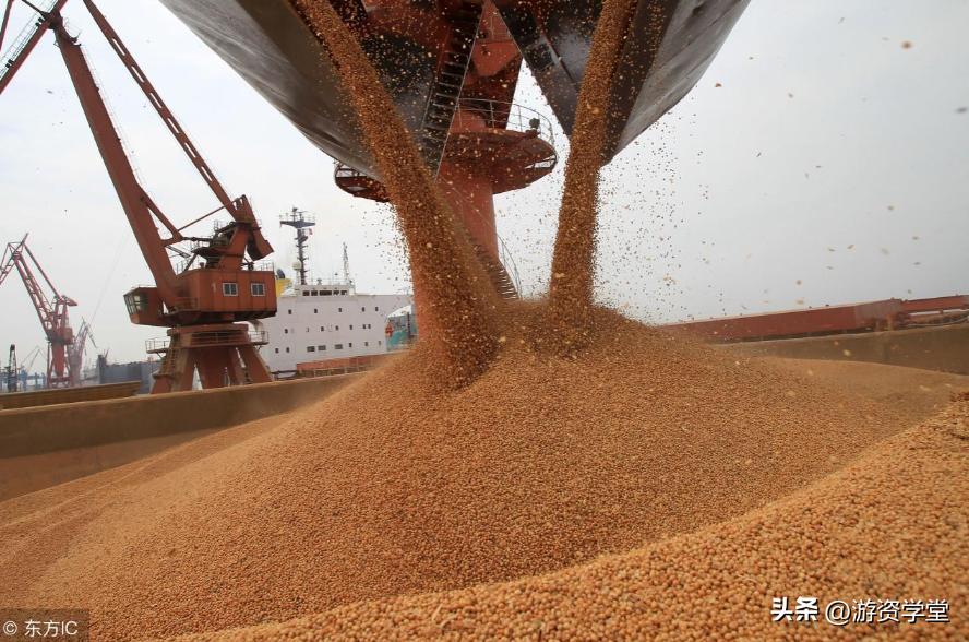 巴西大豆出口贸易现状及对策,巴西大豆对华出口
