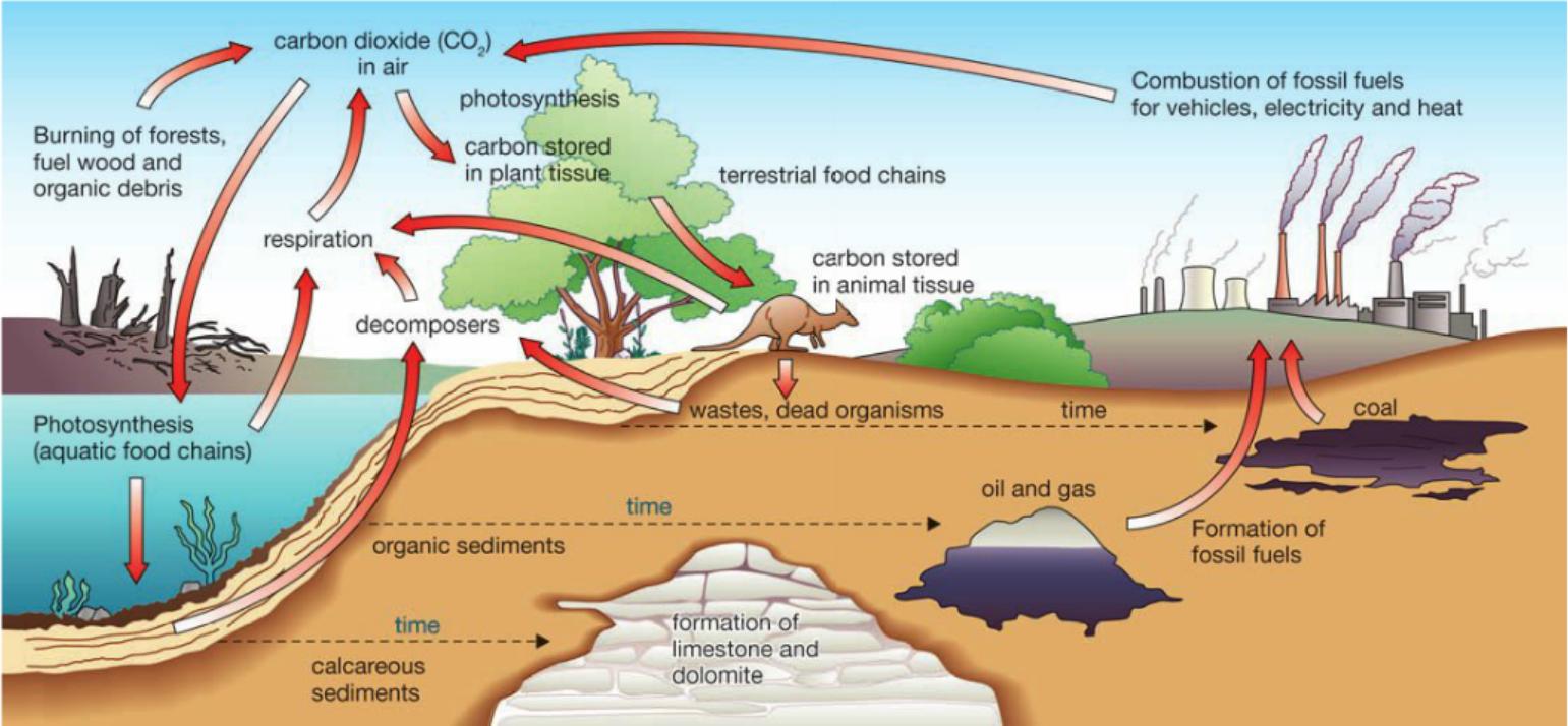 未来发展前景最好的十大职业2021,未来十年最具发展潜力的十大职业