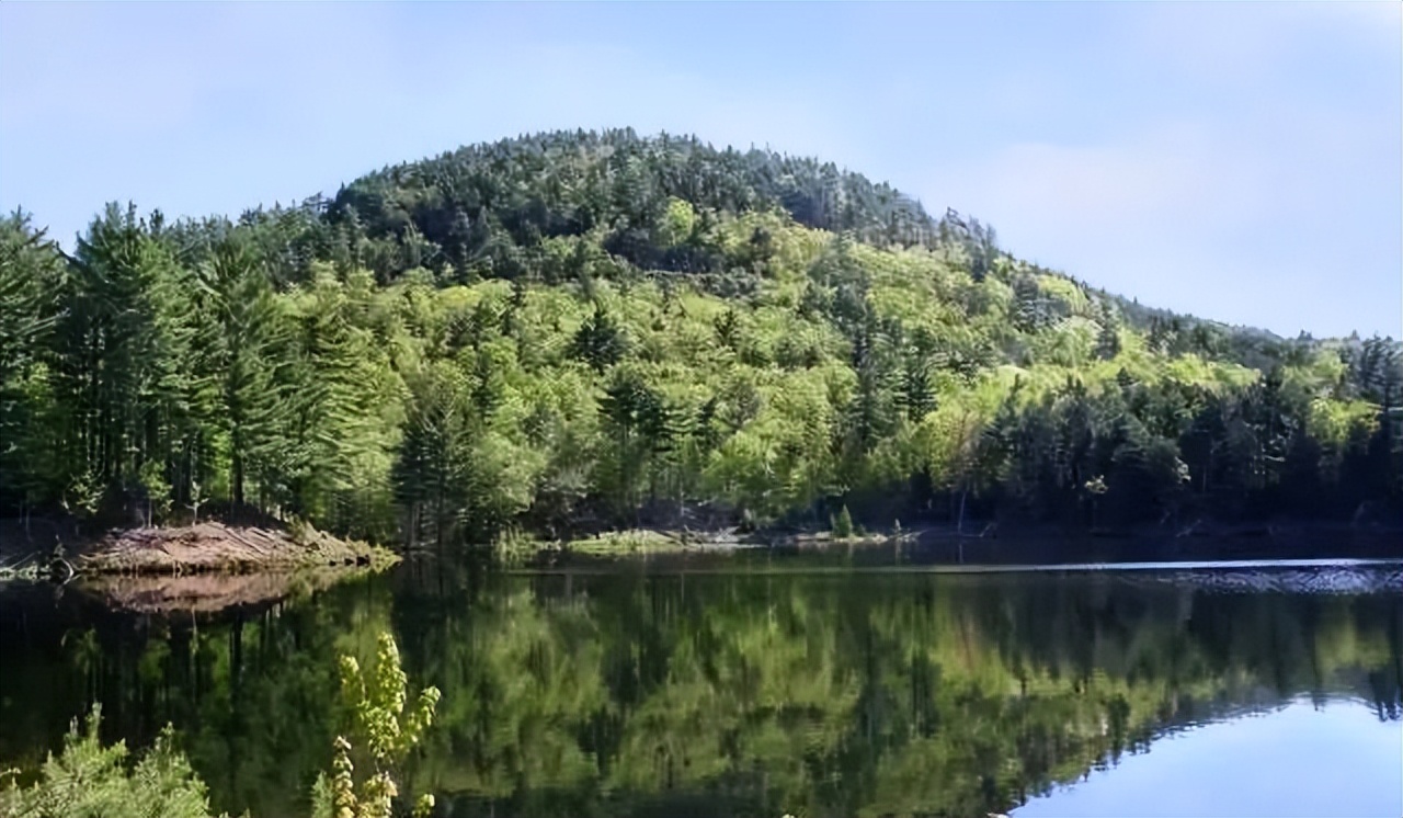 马云如果不卸任会怎样,马云卸任后的目标