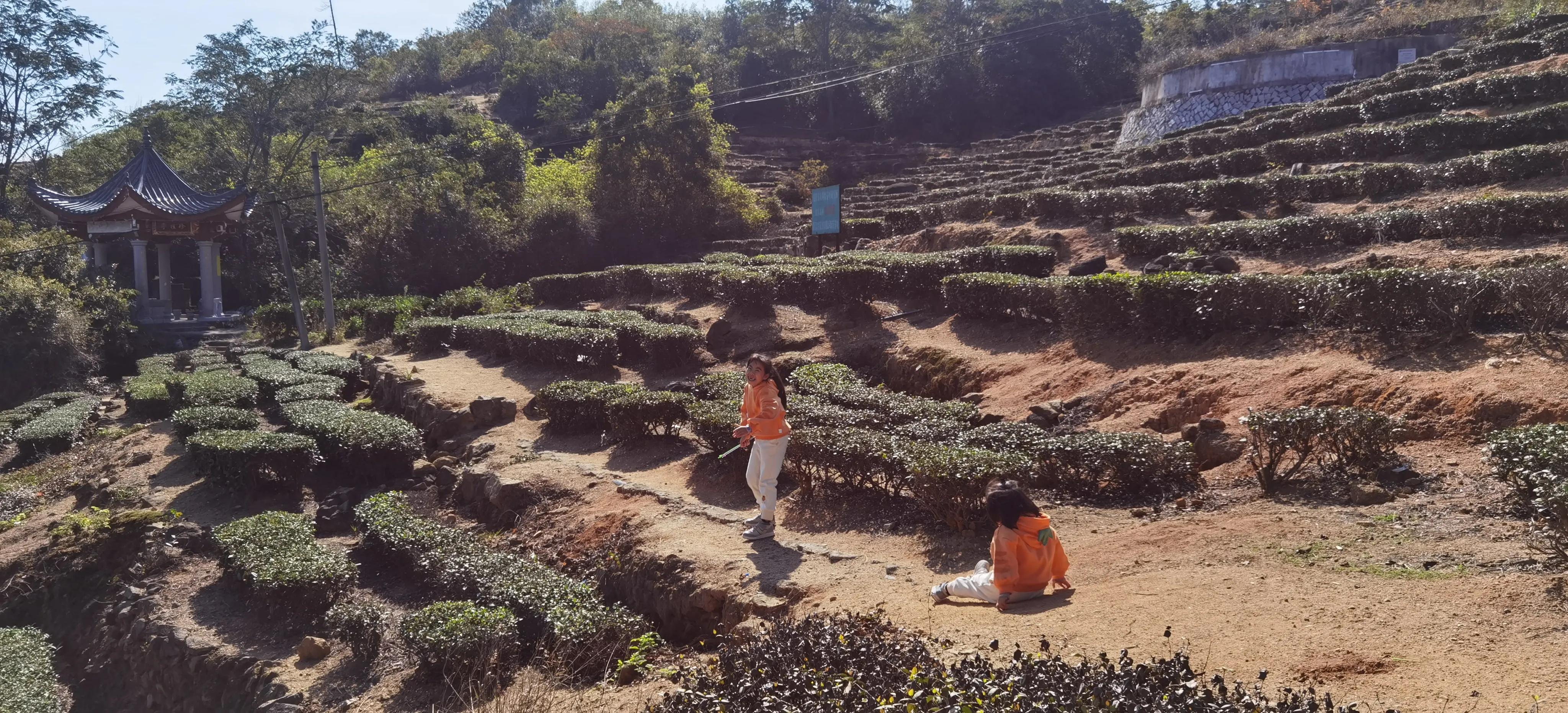 西山岩寺旅游攻略,西山岩之行