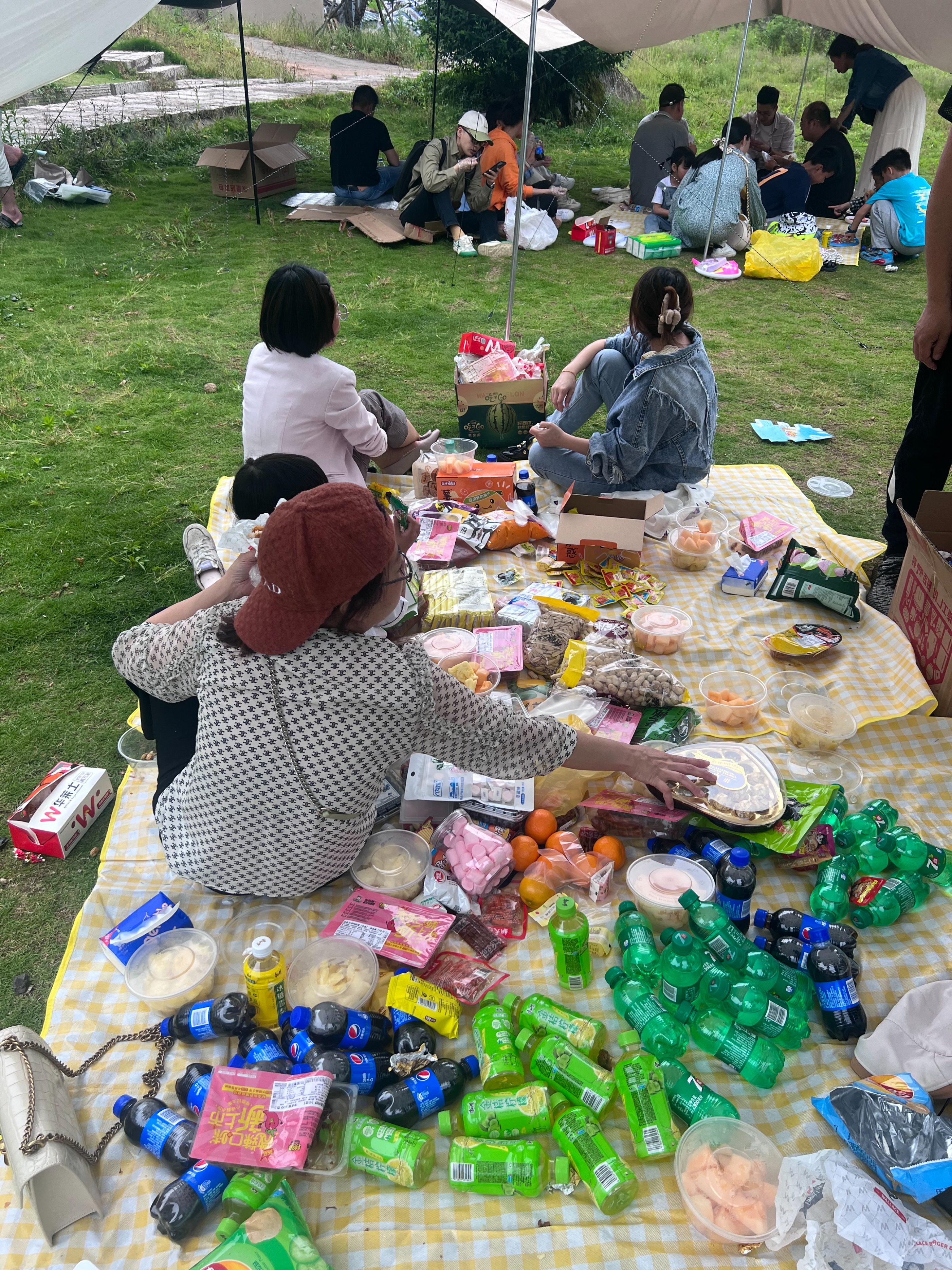 力捷迅企业内刊第03期|踏梦前行药企人,职场新人聊初心