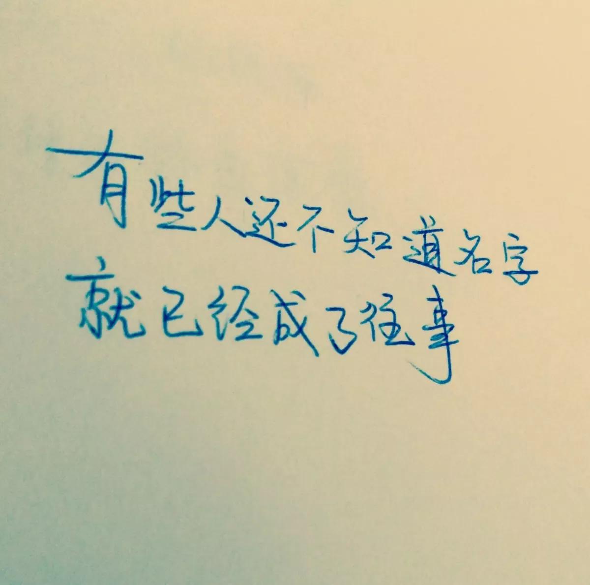 那纷纷扬扬的花瓣犹如万千飞碟，在蓝天下飞扬着翩跹的舞姿