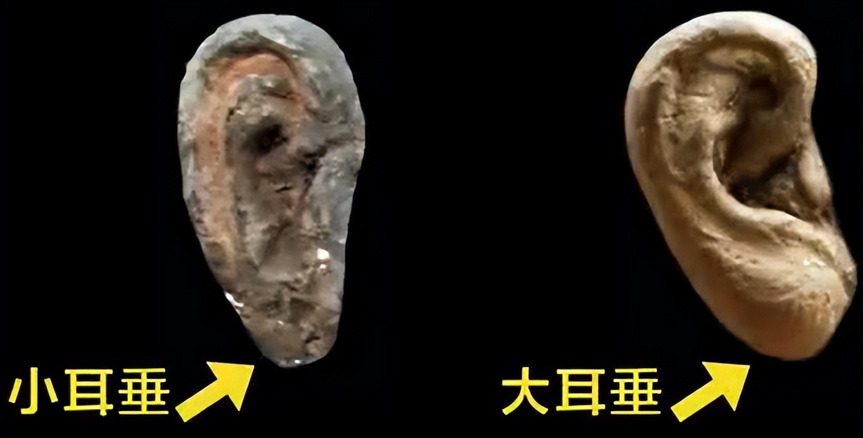 秦始皇兵马俑真正的样子走近科学,历史探秘纪录片秦始皇兵马俑