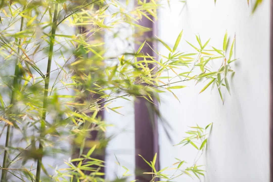 读唐诗三百首可以领悟到些什么,唐诗三百首必背经典100句