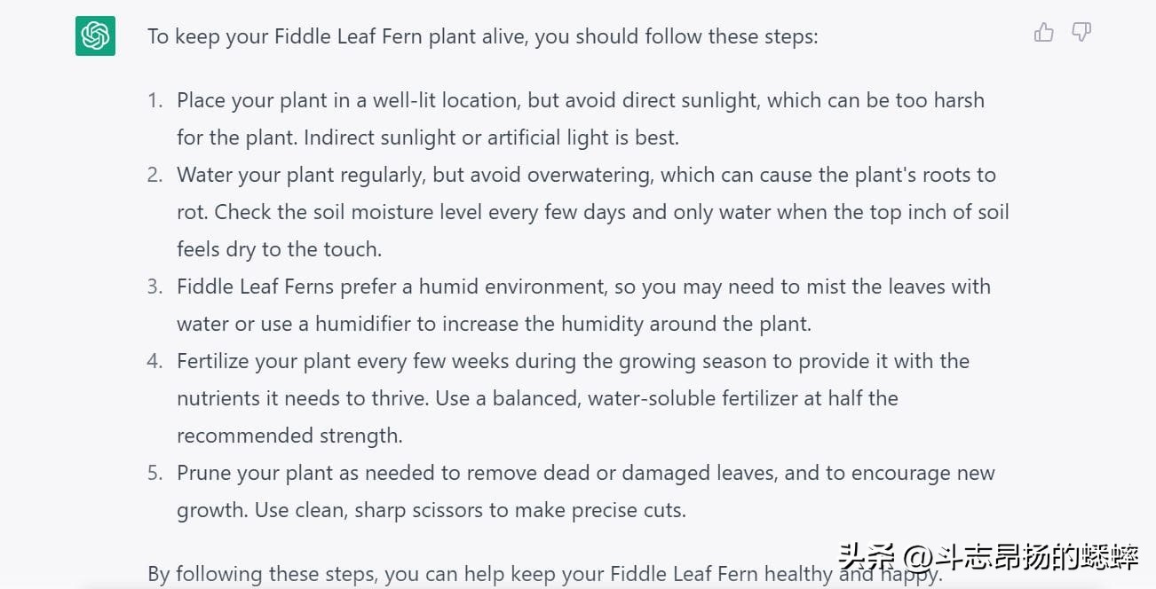 google搜索和seo,google搜索引擎和chrome