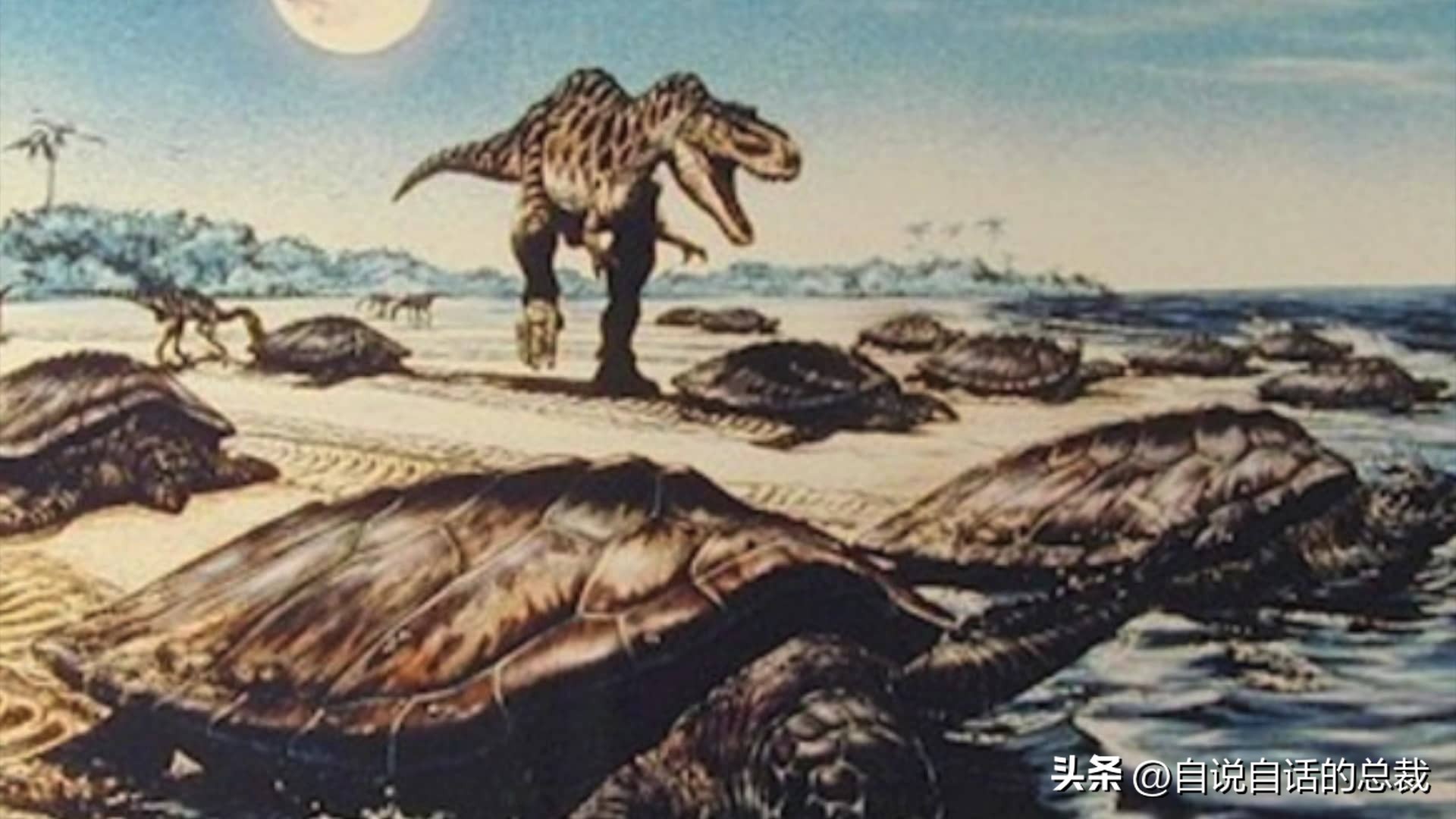 龟蛇大战巨龟视频,罕见别致的龟蛇大战