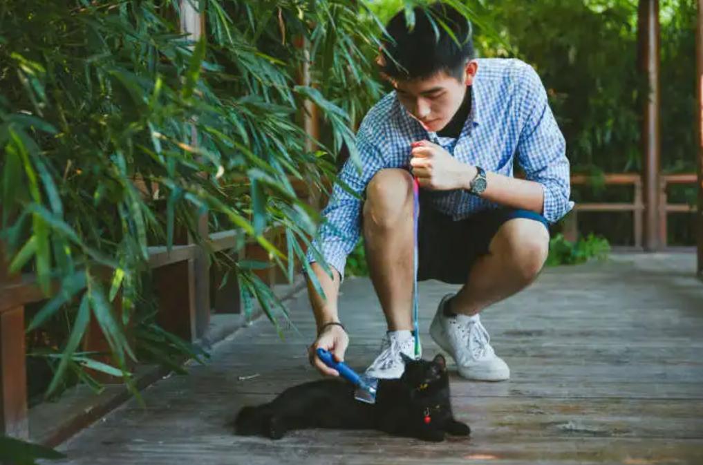 白羊座眼中的爱情，都是什么样子的？你了解吗？