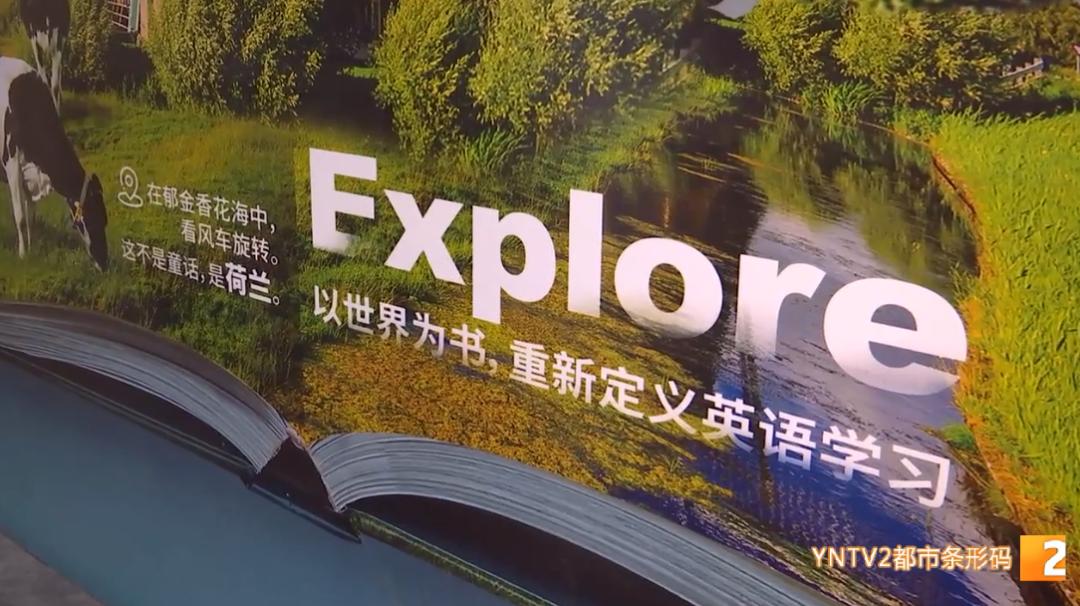 民办教育机构有哪些违规办学现象,昆明市培训机构违规开展评价认定