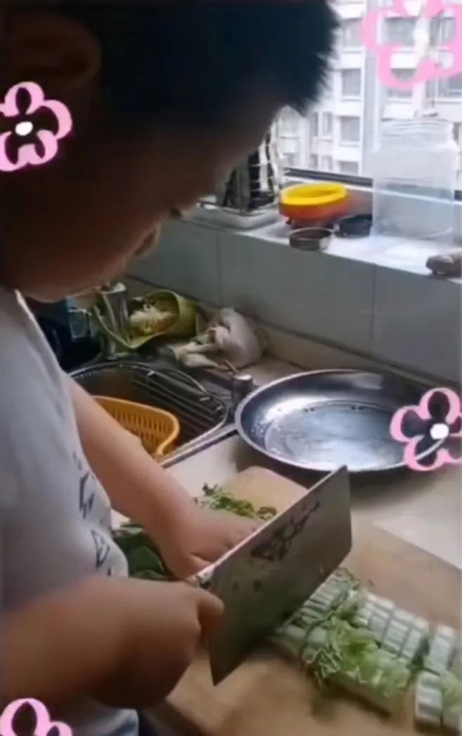“劳动课”成必修课：我要悄悄学烧菜，等9月开学惊艳所有人