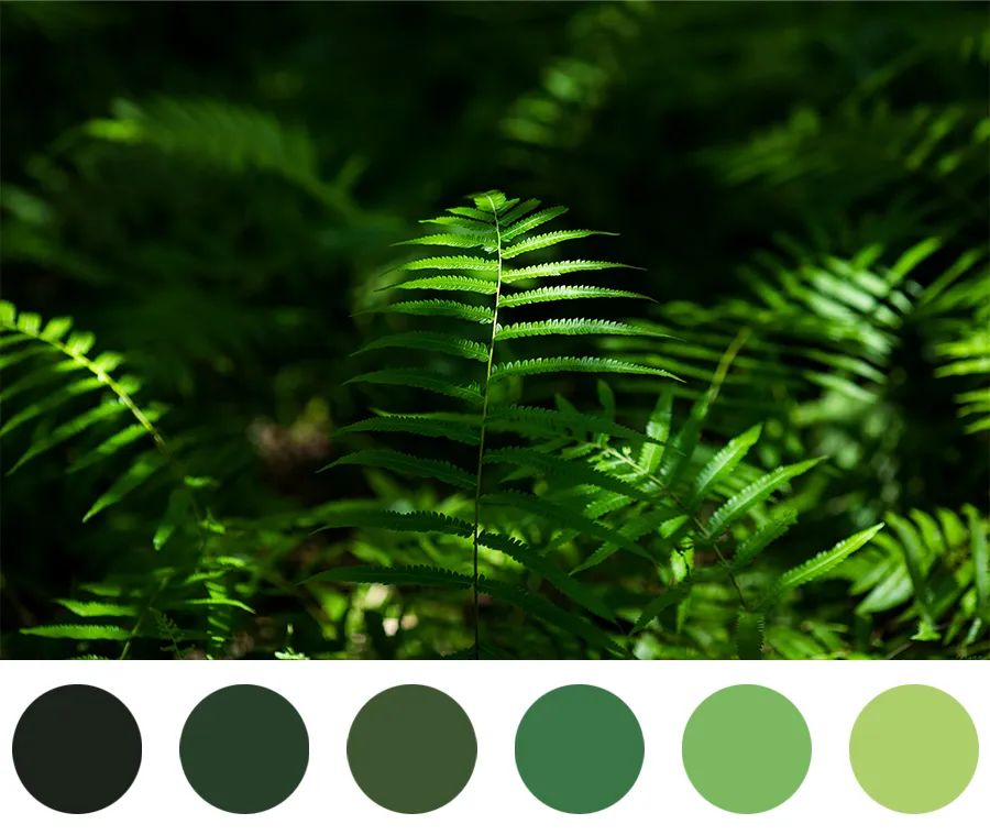 儿童画教程｜学习奇妙的漏印版画——生机盎然的春