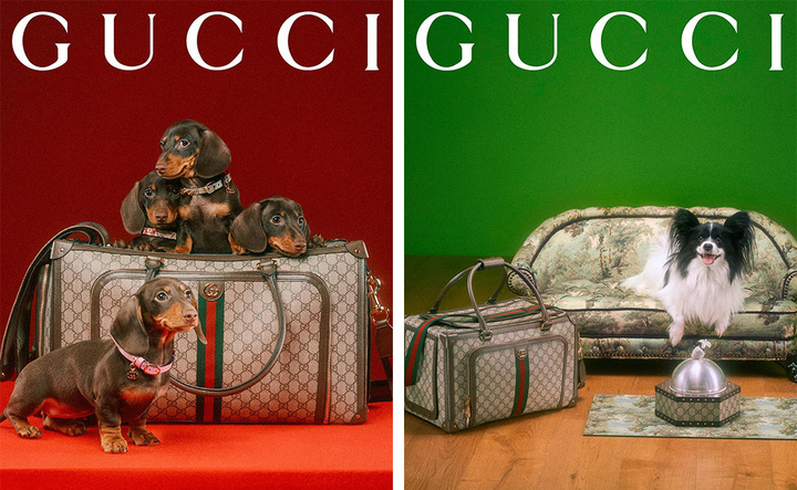 gucci与lv店铺区别,gucci开在无人区的店