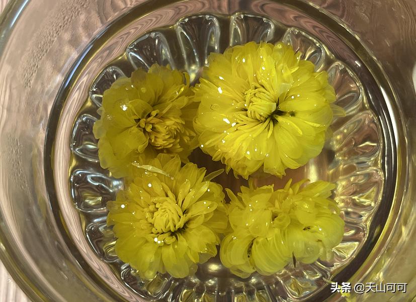 菊花茶分哪几种夏天喝哪种更好,夏天喝冬瓜茶好还是喝菊花茶好