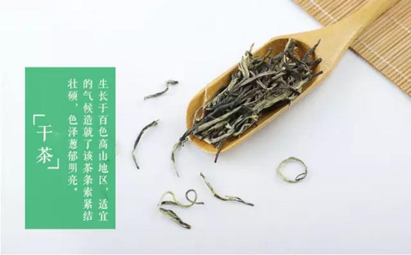 大明山有机绿茶,弱水三千只取一杯茶