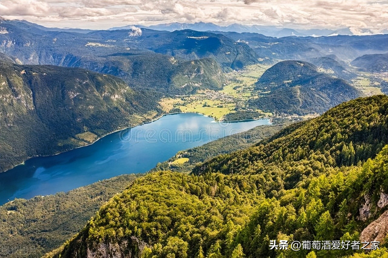 法国罗纳河谷产区葡萄酒分级,品酒最详细的法国葡萄酒分级制度