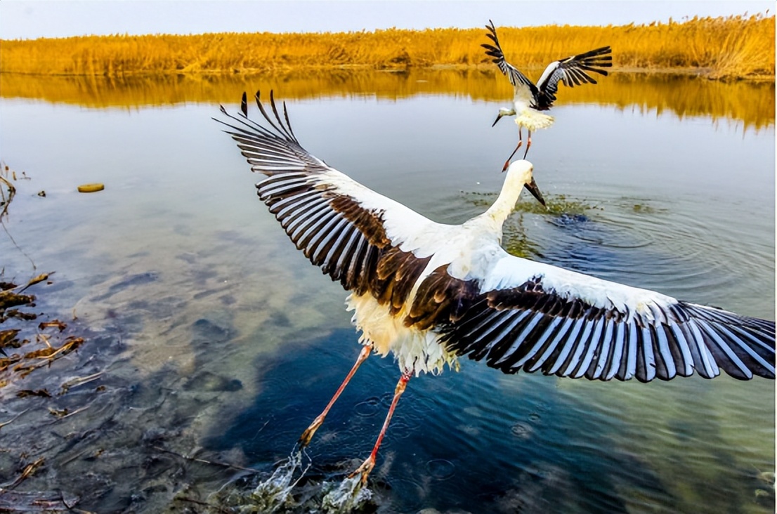 天津发展为什么停滞,天津小区为什么叫里