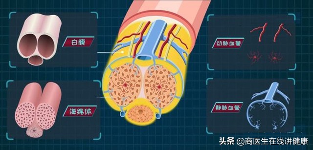 得了糖尿病会影响肾功能早衰吗,患糖尿病会影响寿命嘛