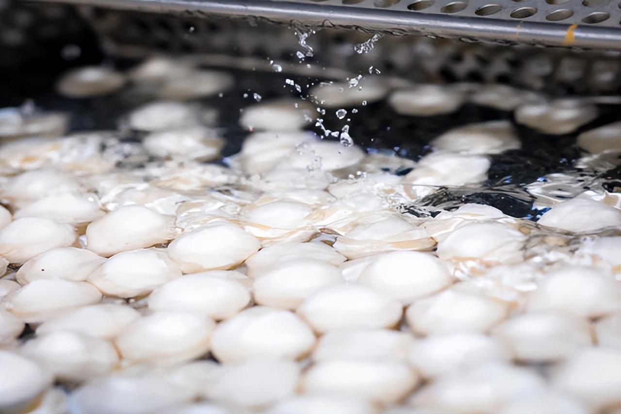 惠来五宝电商怎么样,惠来五宝活动直播间