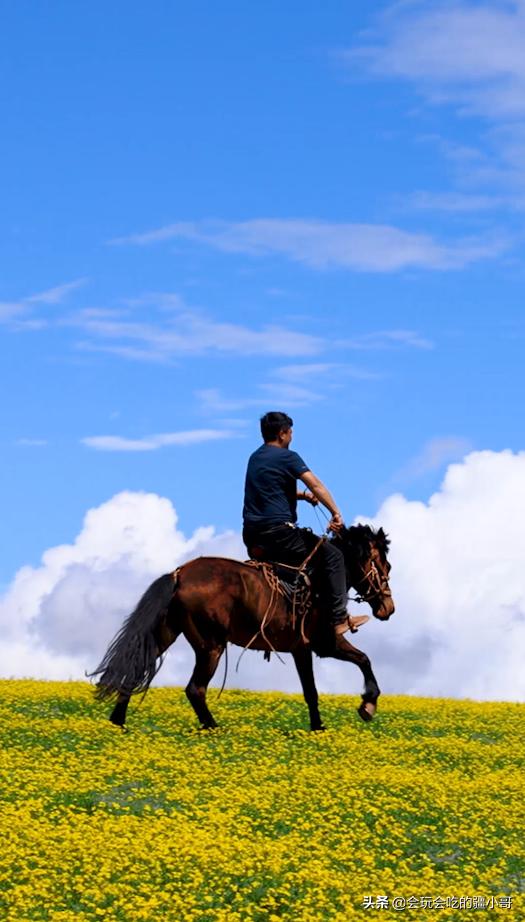 南疆旅游攻略,南北疆最值得去的景点
