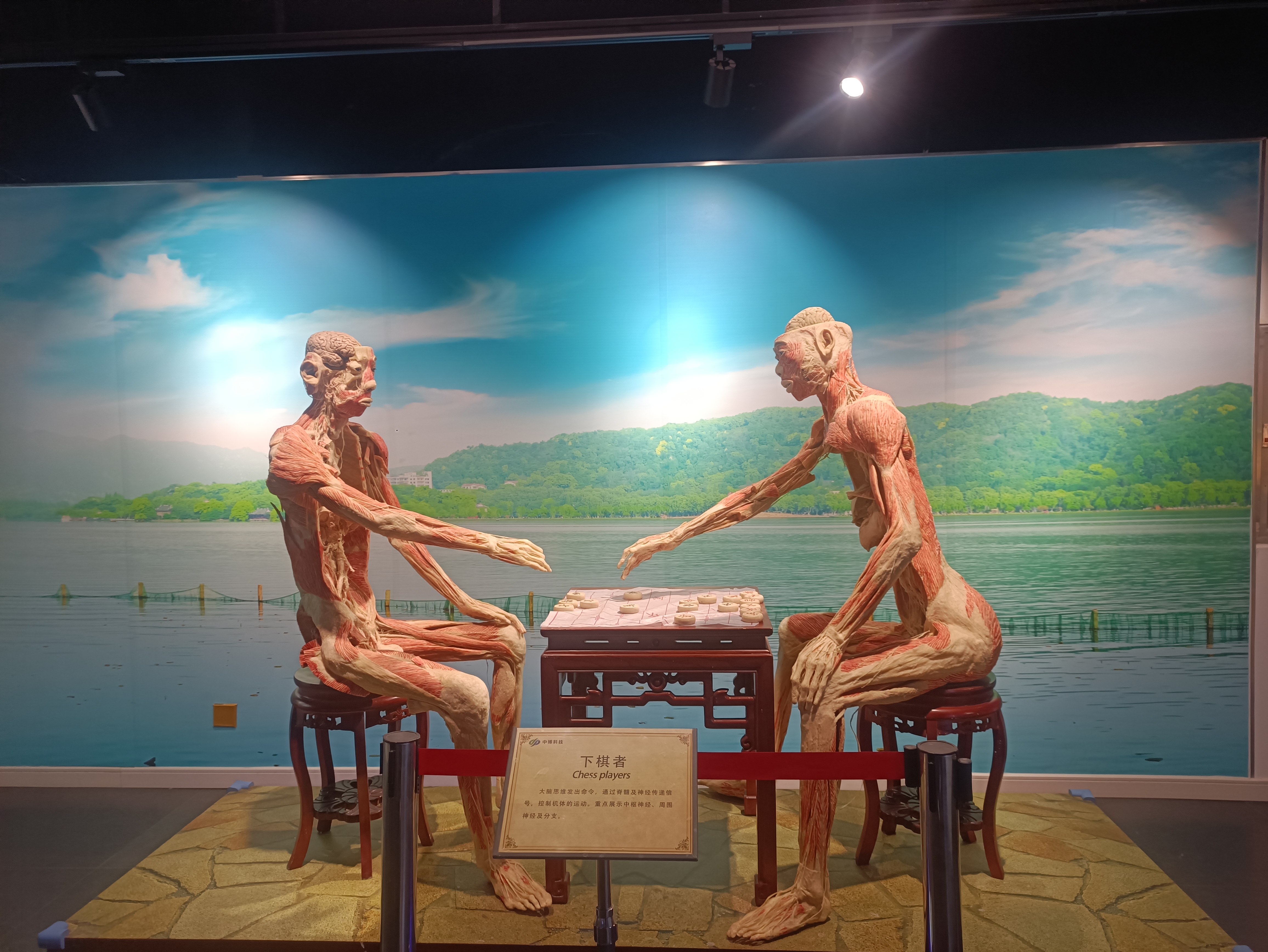 郑州周末遛娃踏青好去处,郑州春季带孩子游玩好去处推荐