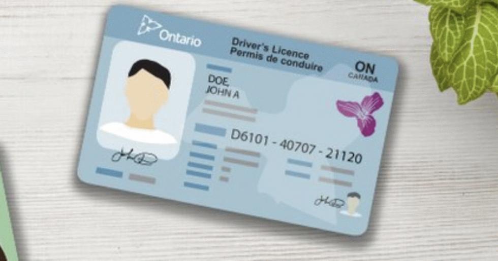 加拿大移民|超实用！加拿大本地购车攻略来啦~出行必备