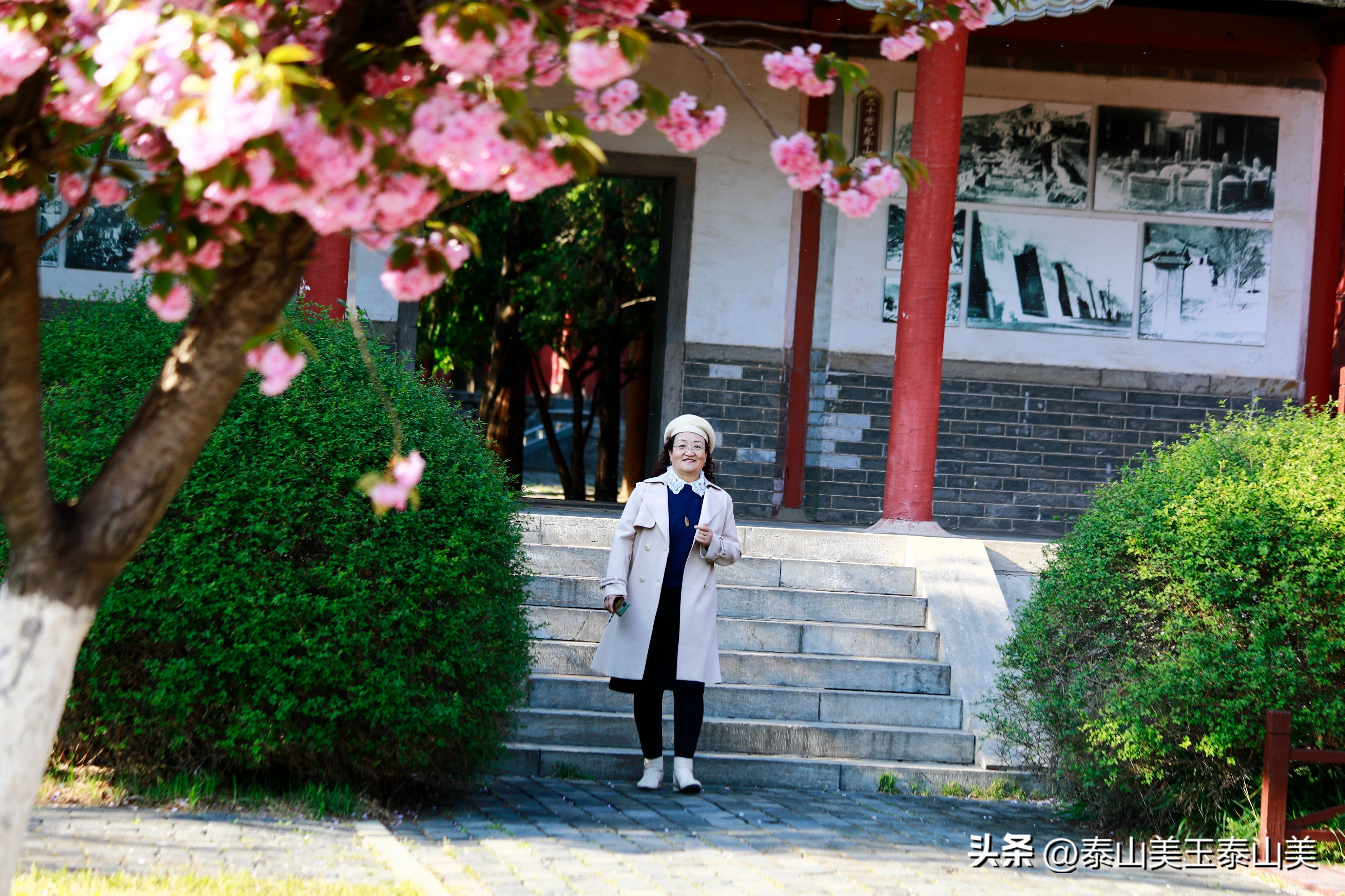 山亭寺沟樱花,定山溪樱花