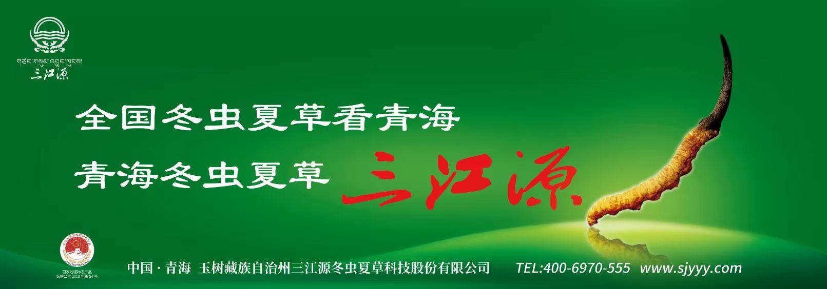 三江源C位出道，第十一季好猫步甘肃区荣耀开赛