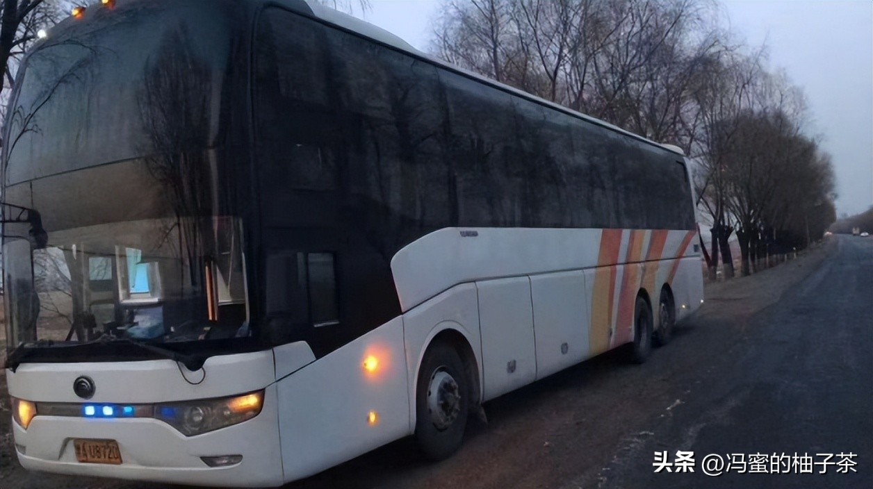 三个穷小伙被姐姐收留20年后报恩,十年前收留穷小伙10年后报恩