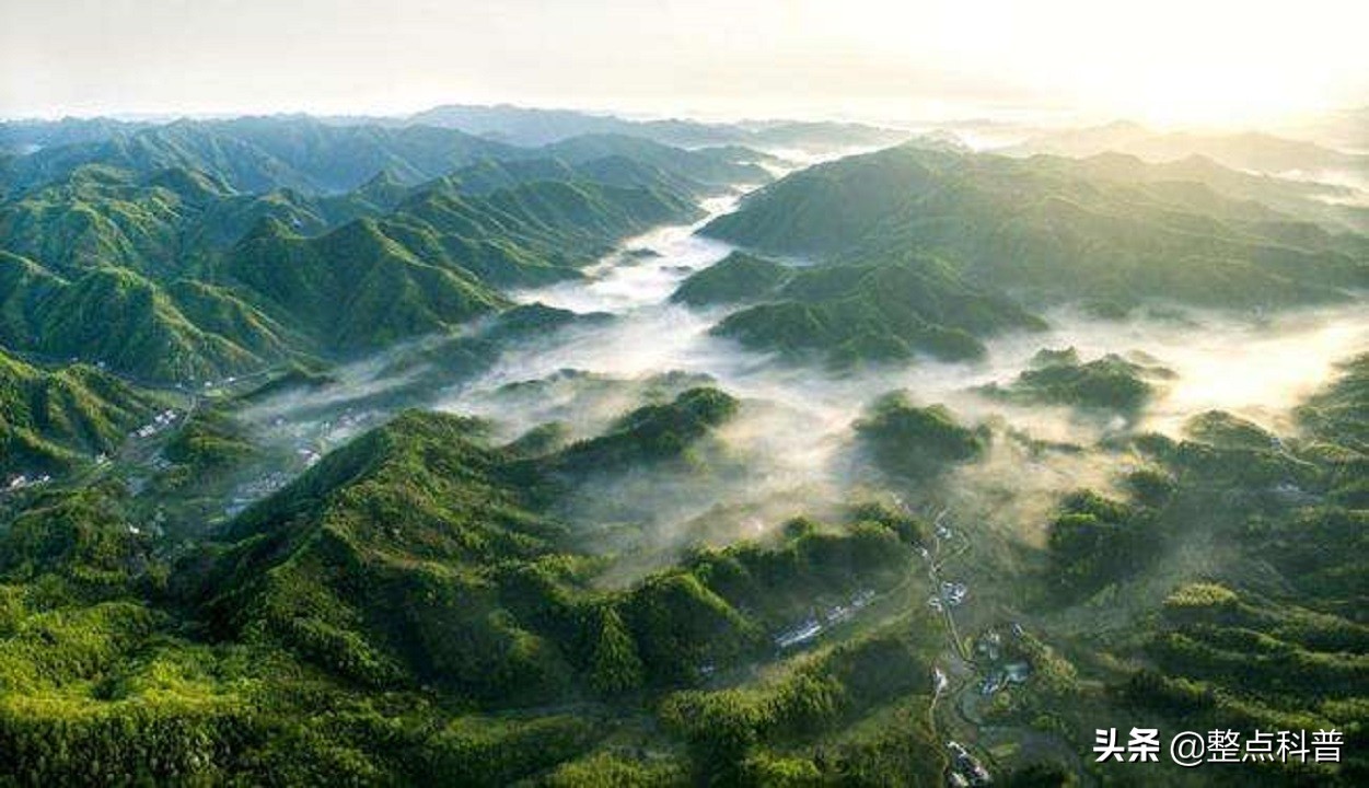 秦岭隧道挖出两条巨蟒是真的吗,世界上最大的蛇是不是在秦岭