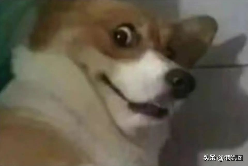 轰动全球的*踏事踩**故，彻底改变了香港