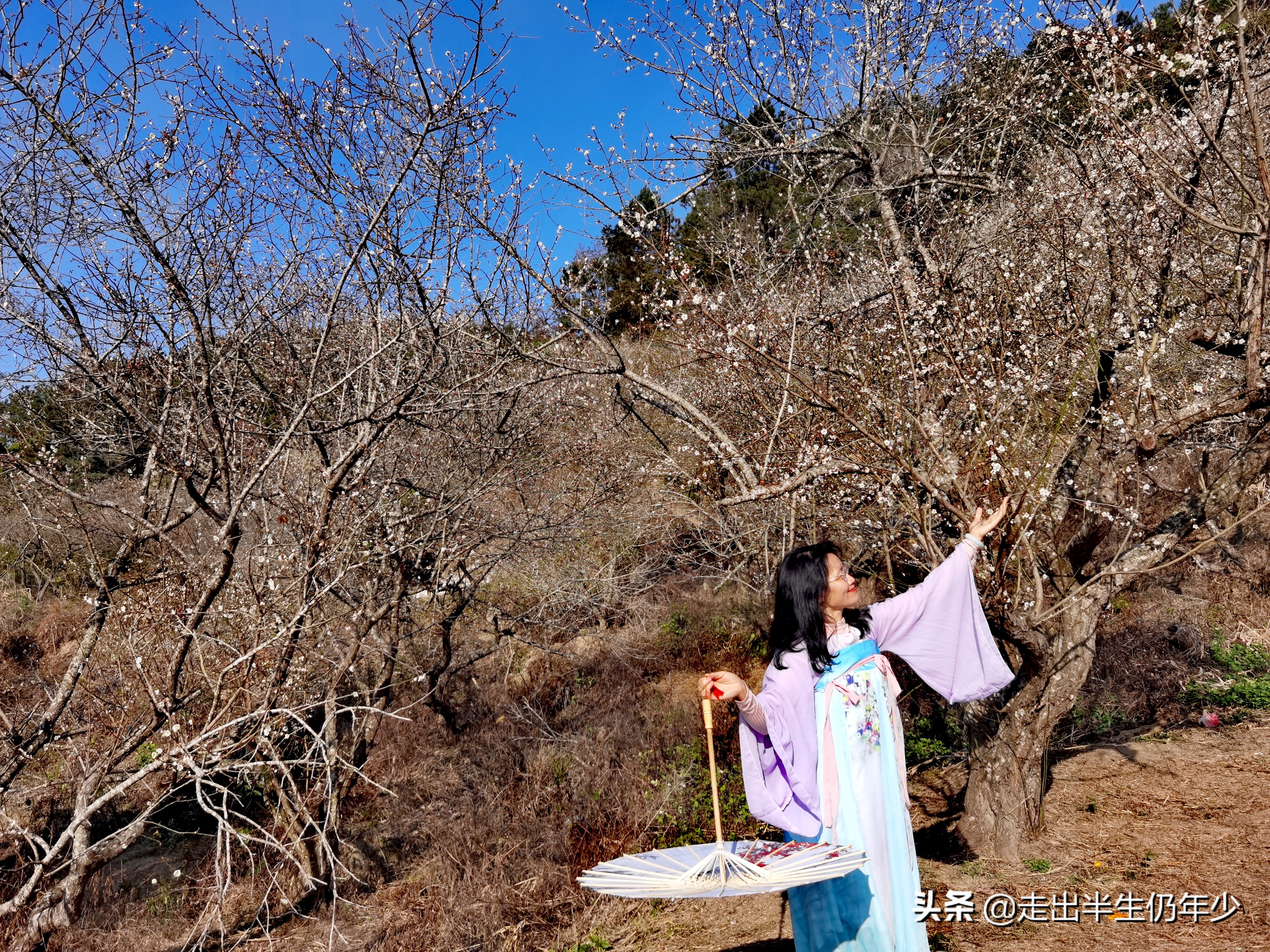 惠东梁化梅园今天开放吗,惠东旅游景点梁化梅园