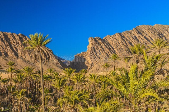 你了解的阿尔及利亚,阿尔及利亚简况