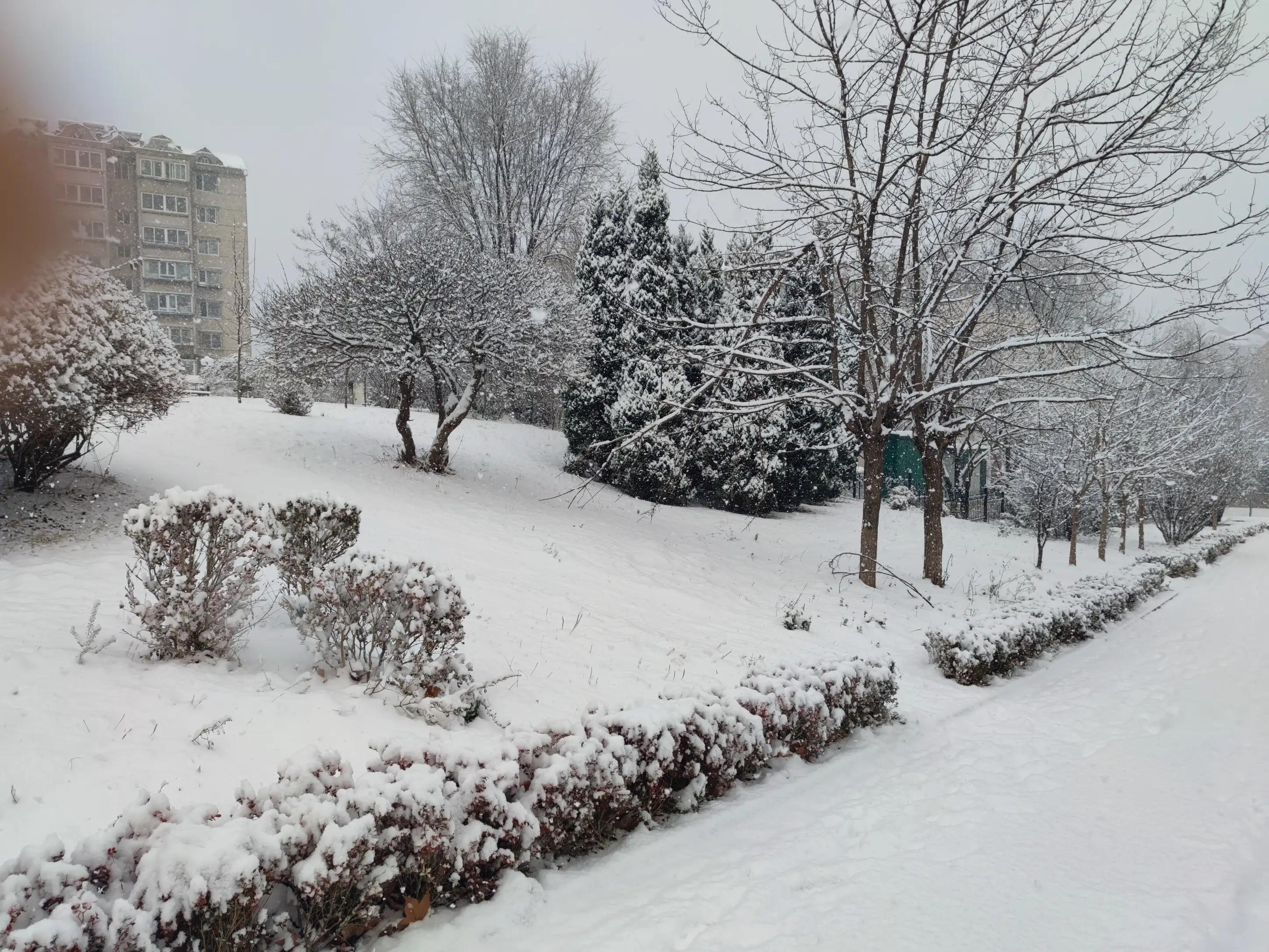 夏天疫情适合囤的食物,疫情期间米面油物资供应