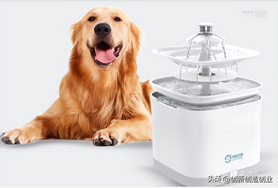 来旺兄弟宠物饮水机使用教程,爱宠饮水机