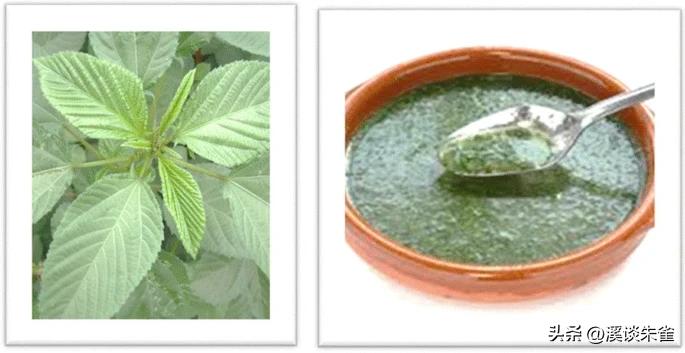 古埃及人都有什么饮食习惯,古代时候在古埃及吃的是什么食物