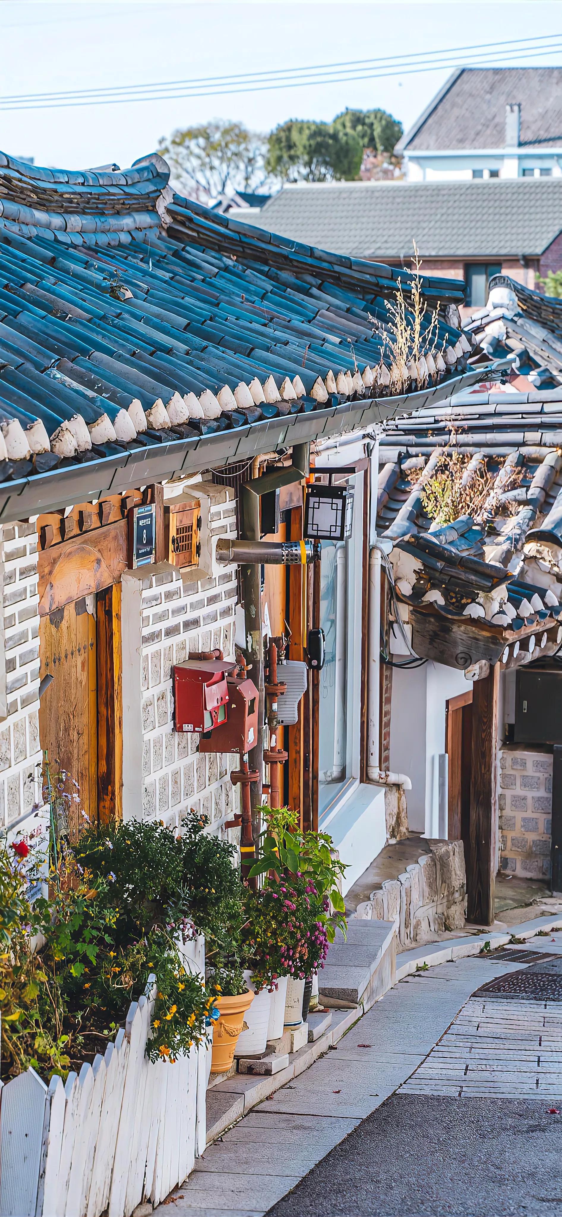 春天清新壁纸图片大全,手机壁纸春天风景超清