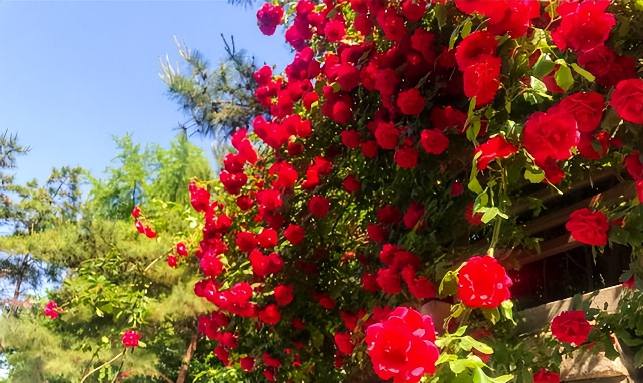 云南绝美十大仙境,云南发现真正的世外桃源