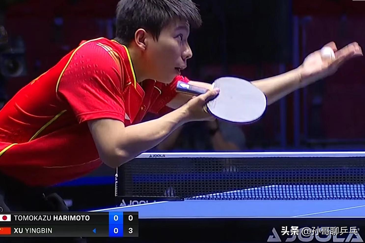 张本智和徐昕对打,张本智和被打完整版