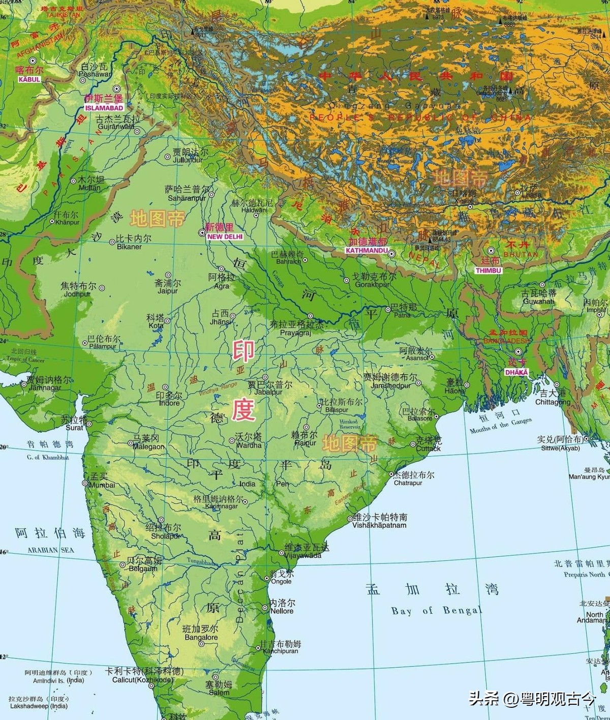 一架飞机花12亿美元，被外国轮着坑，印度是如何成为*火军**韭菜的？