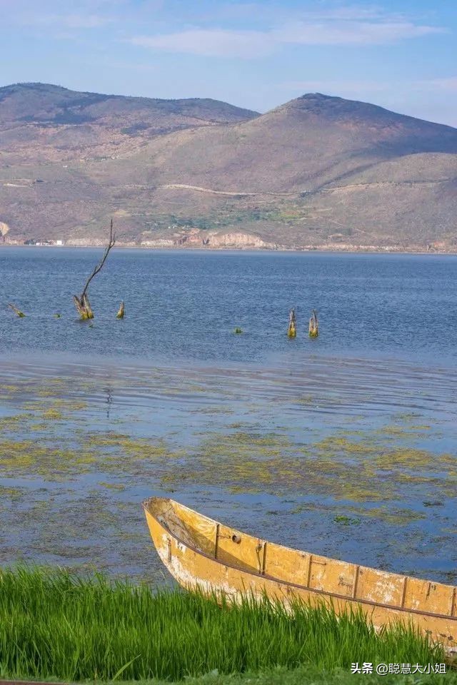 去有风的地方像个没人的地方,去有风的地方到底演的什么