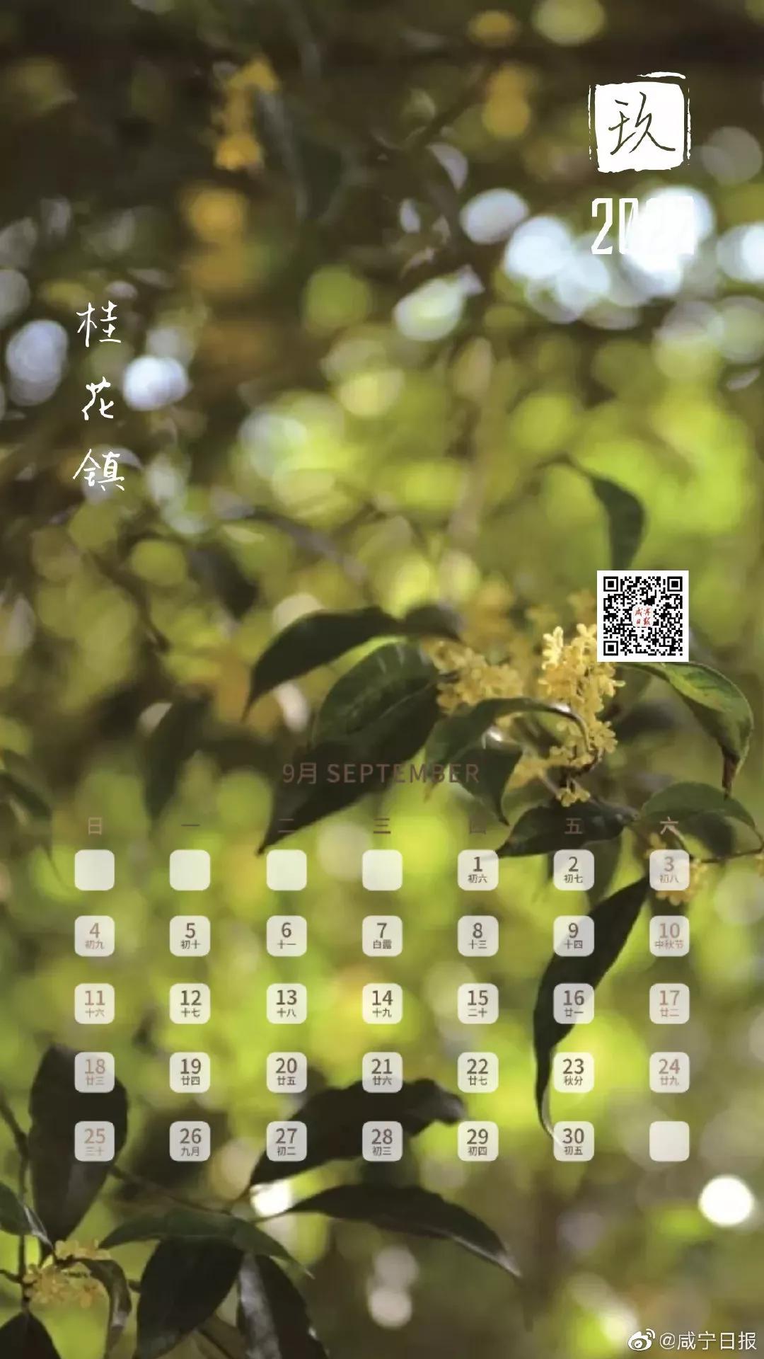 2022年各月日历精美壁纸,2022年手机日历壁纸全年